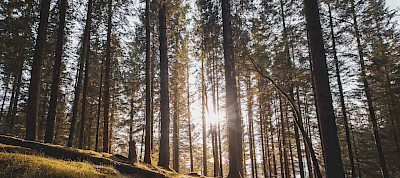 Wie und warum Bibelstudium (Teil 2)