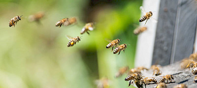 Wie erkenne ich den Willen Gottes? (Teil 3)