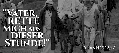 "Vater, rette mich aus dieser Stunde!" eine erhörte Bitte (Johannes 12,27)