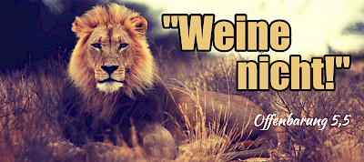 "Weine nicht!" (Offenbarung 5,4.5)