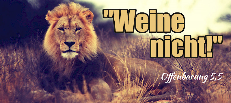"Weine nicht!" (Offenbarung 5,4.5)