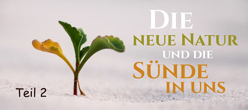 Die neue Natur und die Sünde in uns (Teil 2)