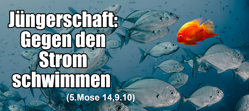 Jüngerschaft: Gegen den Strom schwimmen (5. Mo 14,9.10)