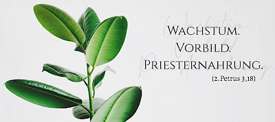 Wachstum.Vorbild.Priesternahrung.