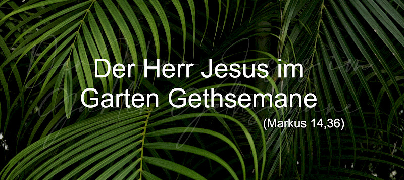 Der Herr Jesus im Garten Gethsemane (Mk 14,36)