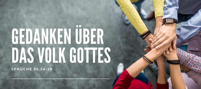 Gedanken über das Volk Gottes (Spüche 30,24-28)