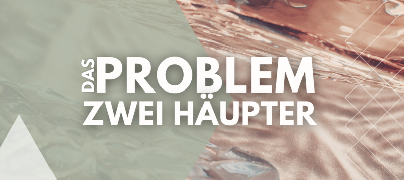 Das Problem der Sünde/ Zwei Häupter