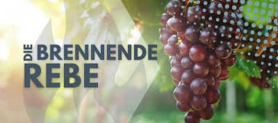 Die verbrannte Rebe - Kinder Gottes in Gefahr?