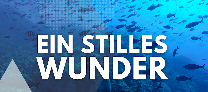 Der Fisch, die Münze und ein stilles Wunder - Petrus und die Tempelsteuer